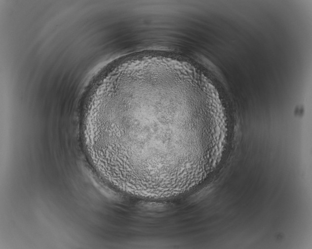 X0000112751027200909171221