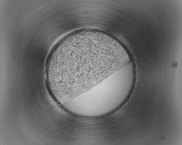 X0000112751028200909171221