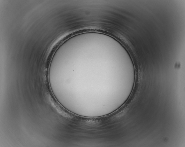 X0000112751029200909171221