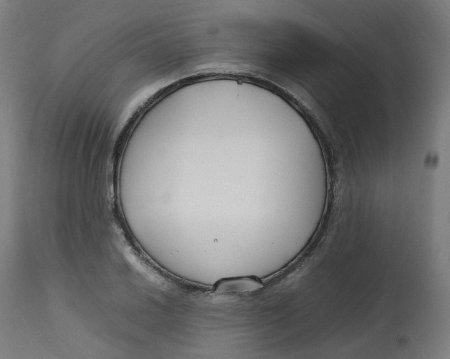 X0000112751030200909171221