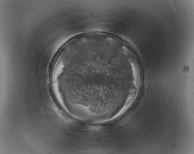 X0000112751031200909171221