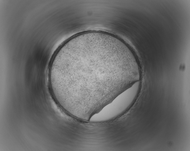 X0000112751032200909171221