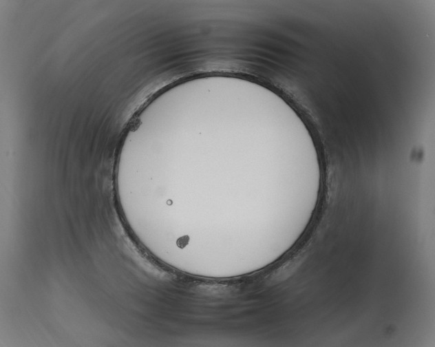 X0000112751033200909171221