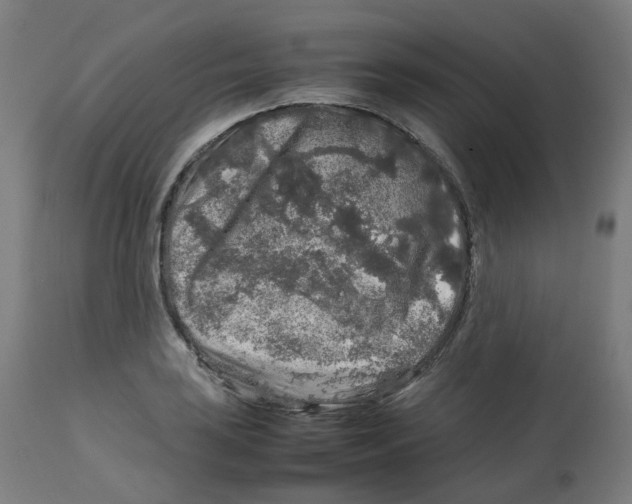 X0000112751035200909171221