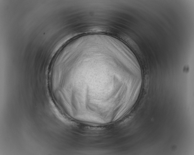 X0000112751039200909171221