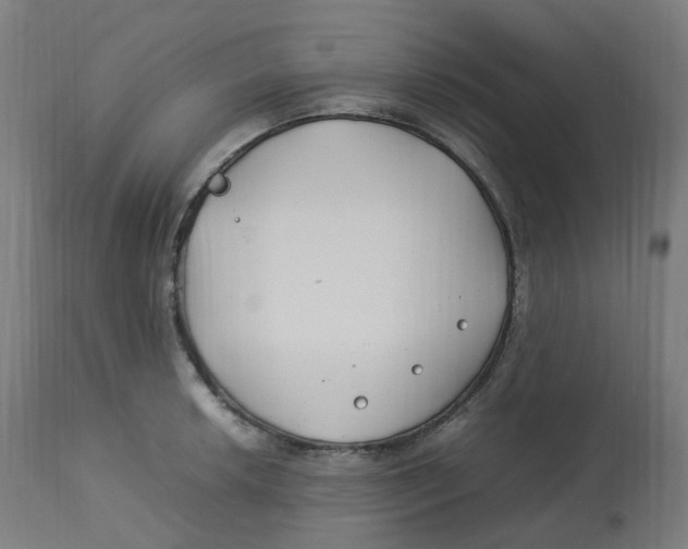 X0000112751042200909171221