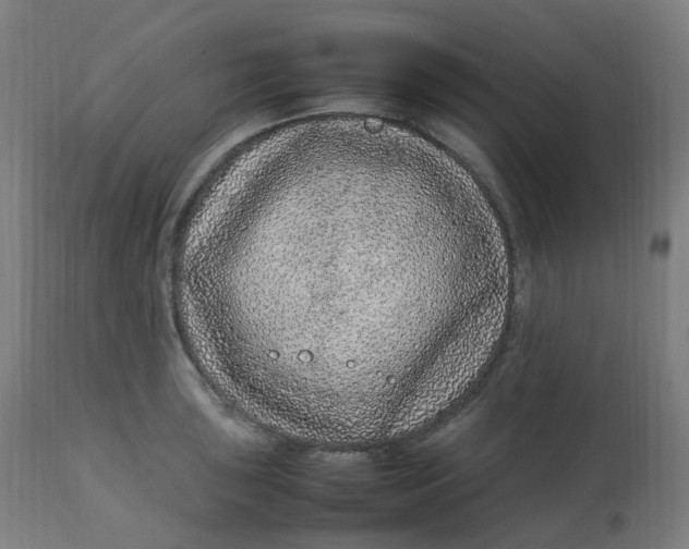 X0000112751043200909171221