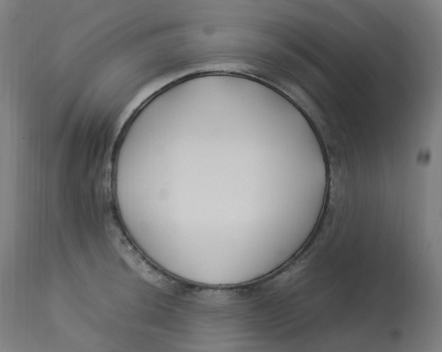 X0000112751044200909171221