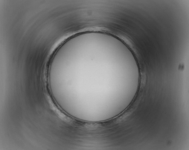 X0000112751046200909171221