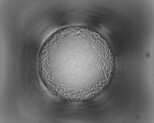 X0000112751047200909171221