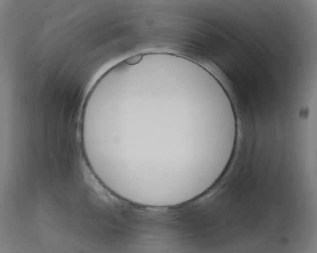 X0000112751052200909171221