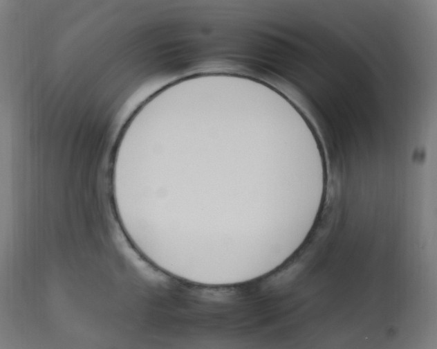 X0000112751053200909171221