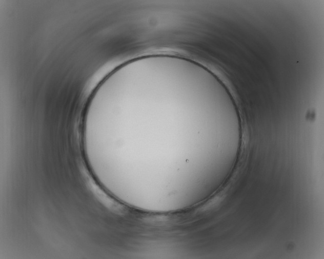 X0000112751054200909171221