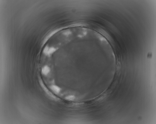 X0000112751055200909171221