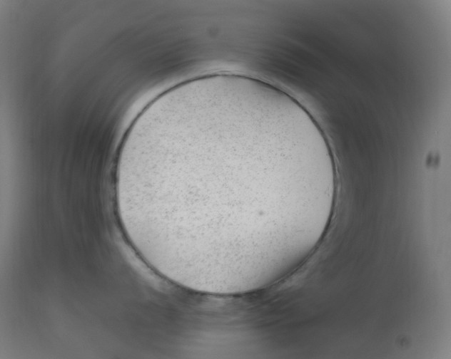 X0000112751056200909171221