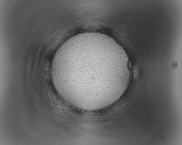 X0000112751059200909171220