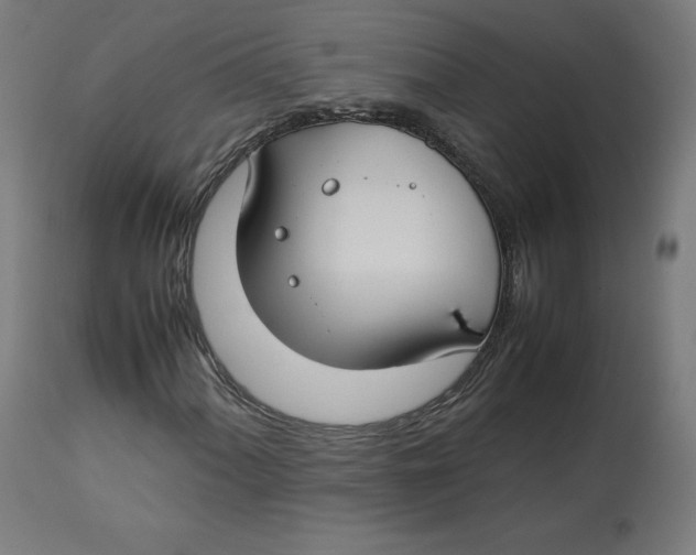 X0000112751060200909171220