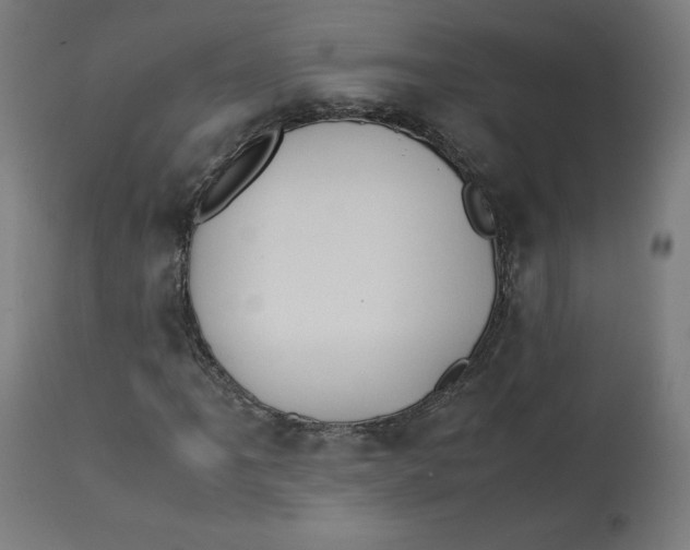 X0000112751061200909171220