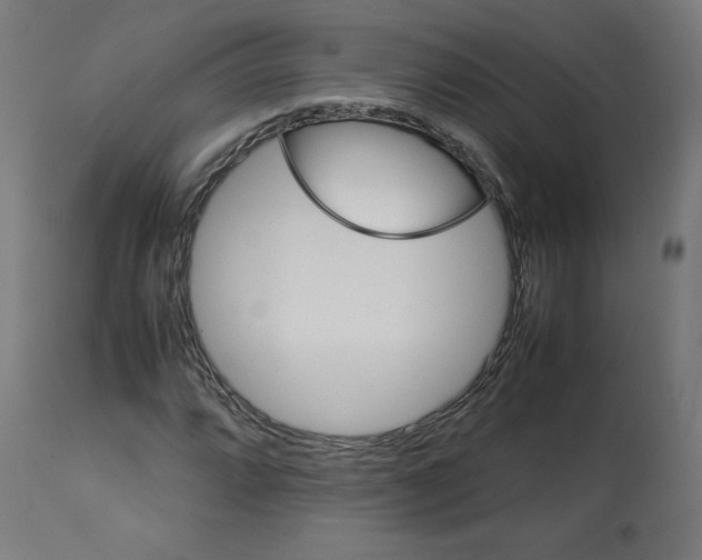 X0000112751064200909171220