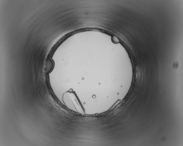 X0000112751068200909171220