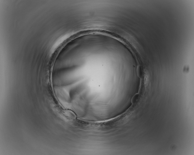 X0000112751069200909171220