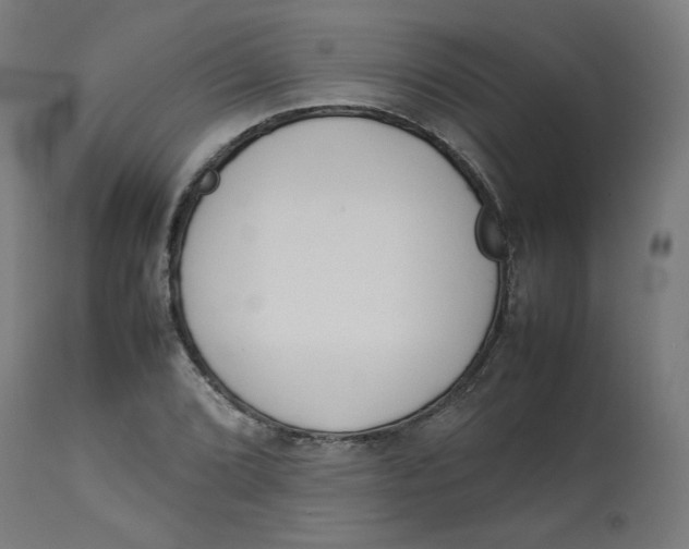 X0000112751072200909171220