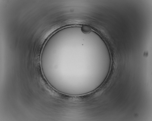 X0000112751073200909171220