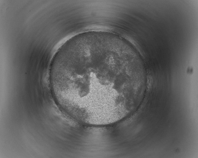 X0000112751074200909171220