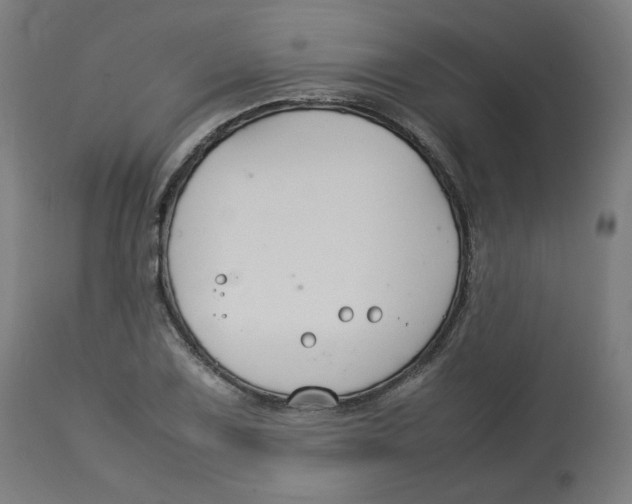 X0000112751075200909171220