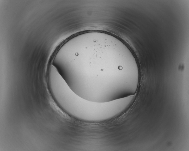 X0000112751080200909171220