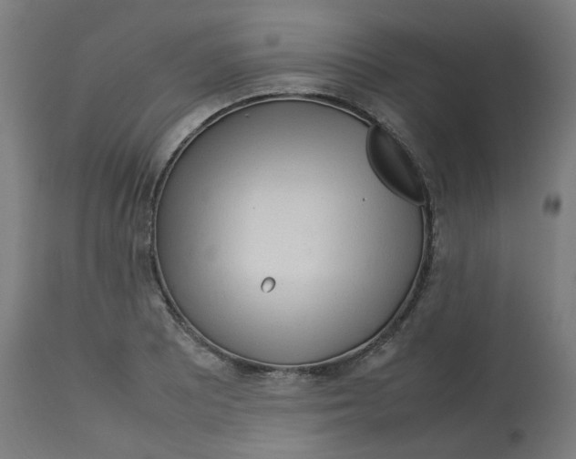 X0000112751081200909171220