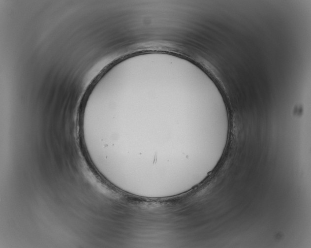 X0000112751082200909171220