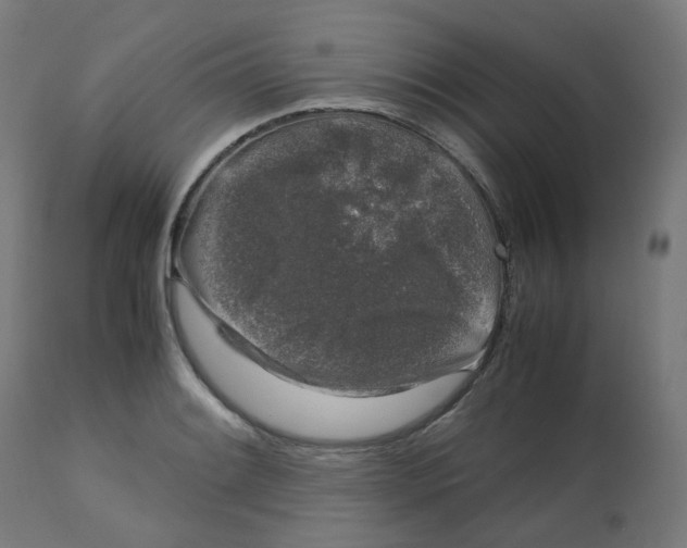 X0000112751084200909171220