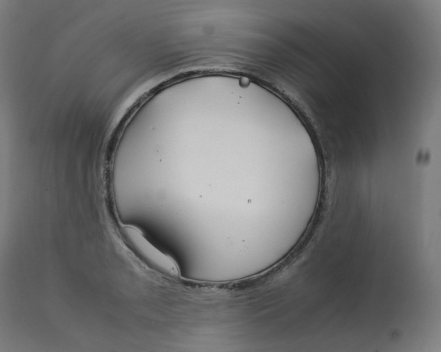 X0000112751085200909171220