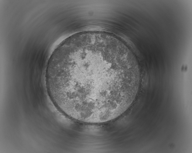 X0000112751086200909171220