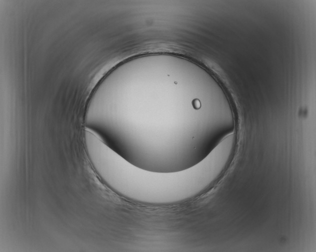 X0000112751089200909171220