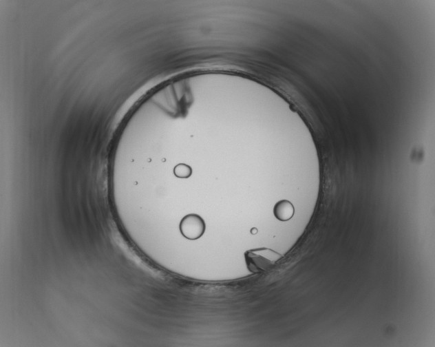 X0000112751092200909171220