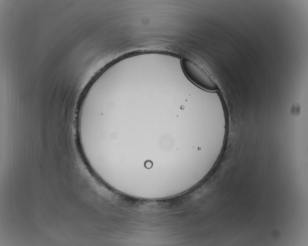 X0000112751093200909171220