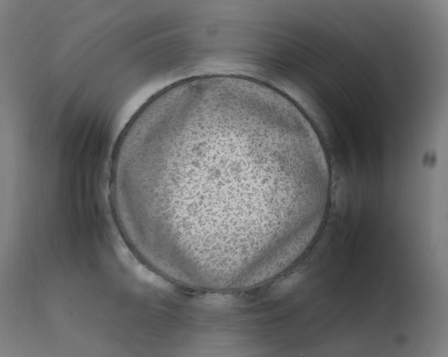 X0000112751094200909171220