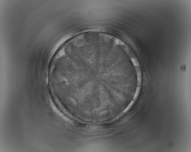 X0000112751095200909171220