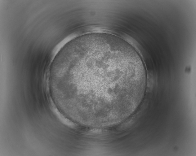 X0000112751098200909171220