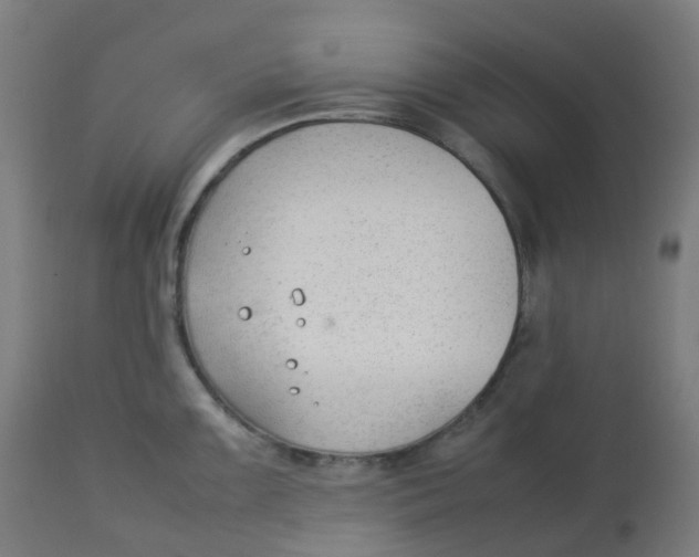 X0000112751099200909171220