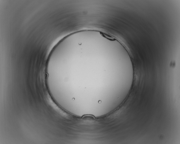 X0000112751100200909171220