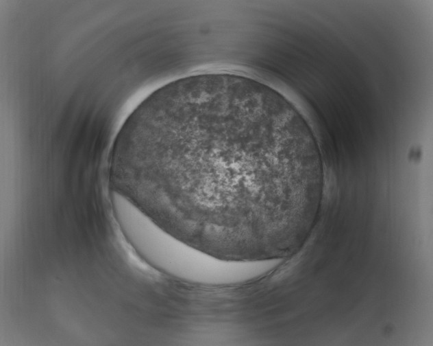 X0000112751102200909171220