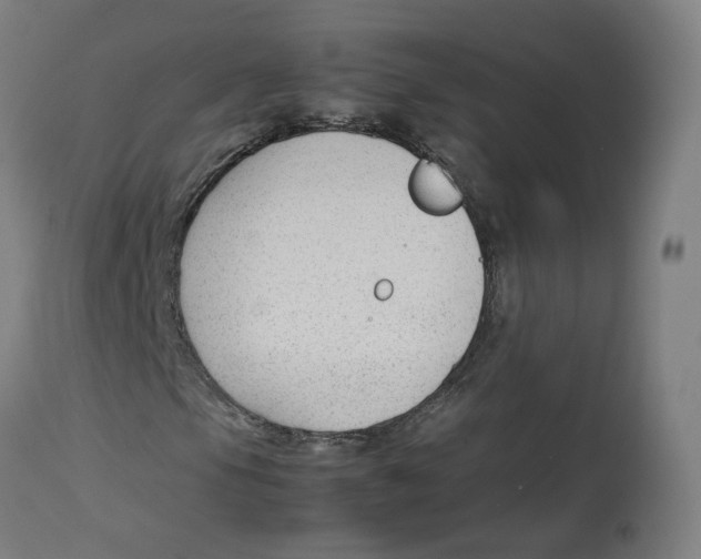 X0000112751105200909171219