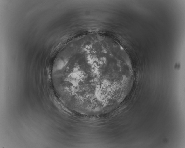 X0000112751106200909171219