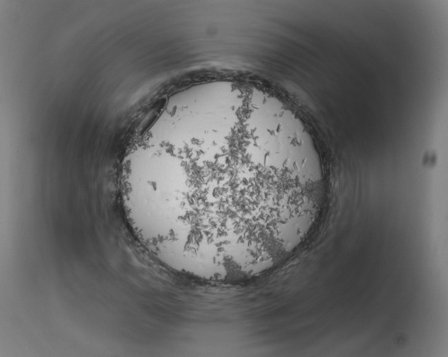 X0000112751110200909171219