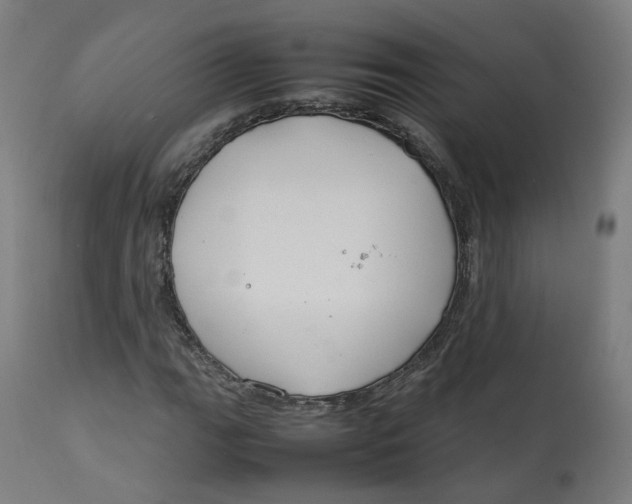 X0000112751111200909171219