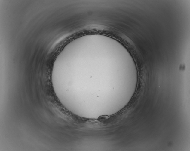 X0000112751112200909171219