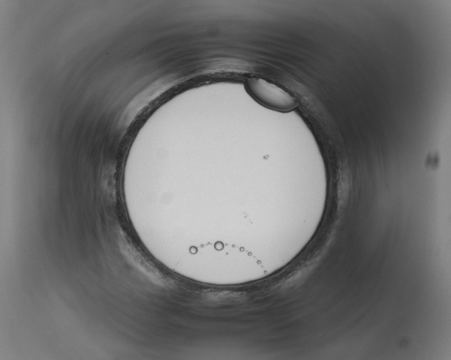 X0000112751113200909171219